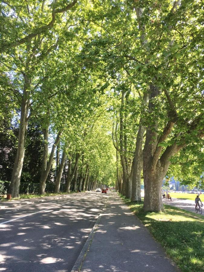 Annecy Center 2 Steps From The Lake Cozy And Renovated! Esterno foto